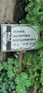 Захоронение ID 1255756