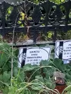 Захоронение ID 1255778