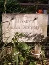 Захоронение ID 1255779