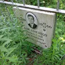 Захоронение ID 1255993
