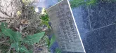 Захоронение ID 1256011