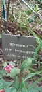 Захоронение ID 1256091