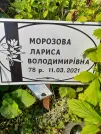 Захоронение ID 1256260