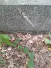 Захоронение ID 1256266