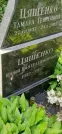 Захоронение ID 1256340