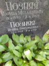 Захоронение ID 1256380