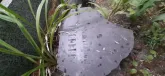 Захоронение ID 1256570