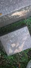 Захоронение ID 1256690