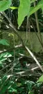 Захоронение ID 1256781