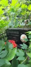 Захоронение ID 1256843