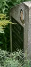 Захоронение ID 1256869