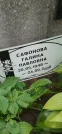 Захоронение ID 1256872