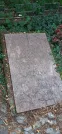 Захоронение ID 1256884