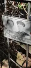 Захоронение ID 1256966