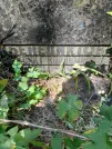 Захоронение ID 1256973
