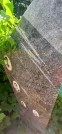 Захоронение ID 1256997