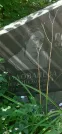 Захоронение ID 1257000