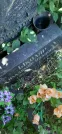 Захоронение ID 1257006