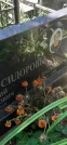 Захоронение ID 1257043