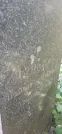 Захоронение ID 1257049