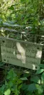 Захоронение ID 1257062