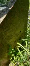 Захоронение ID 1257077