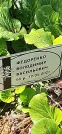 Захоронение ID 1257148