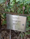 Захоронение ID 1257390