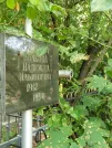 Захоронение ID 1257485