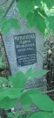 Захоронение ID 1257621