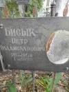 Захоронение ID 1257718