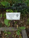 Захоронение ID 1257735