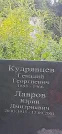 Захоронение ID 1257903