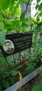 Захоронение ID 1257931