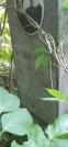 Захоронение ID 1257936