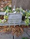 Захоронение ID 1258066