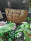 Захоронение ID 1258247