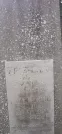Захоронение ID 1258301