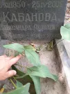 Захоронение ID 1258351