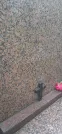Захоронение ID 1258382