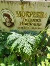 Захоронение ID 1258429