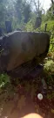 Захоронение ID 1258449