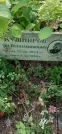 Захоронение ID 1258510