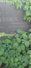 Захоронение ID 1258545