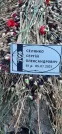 Захоронение ID 1258576