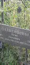 Захоронение ID 1258591
