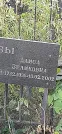 Захоронение ID 1258592