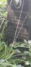 Захоронение ID 1258660