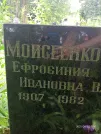 Захоронение ID 1258711