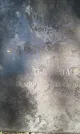 Захоронение ID 1258886